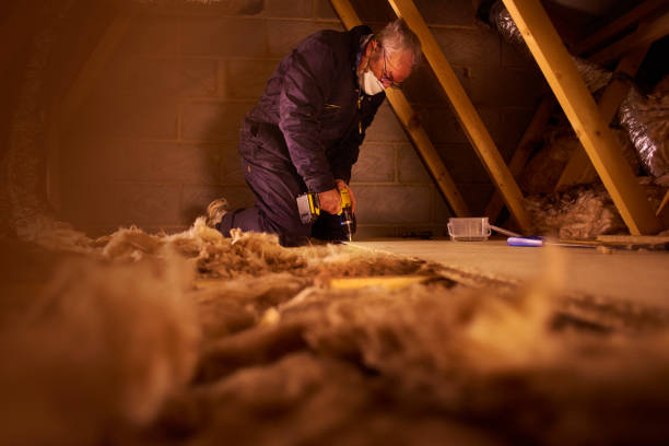 Types of Insulation We Offer in OR